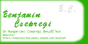 benjamin csepregi business card